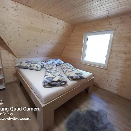 Dominika Chalet Smižany